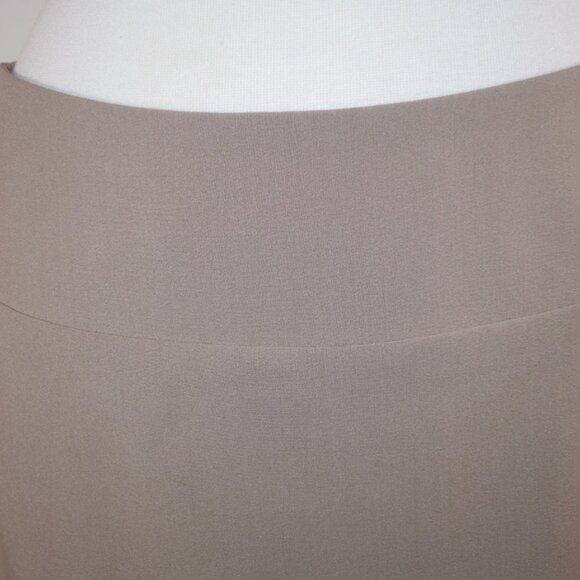 Ellen Tracy Beige Pencil Skirt - Size 6 - Picture 10 of 15